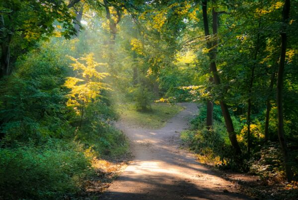 Behavioral Addictions: When the Reward System Takes Over