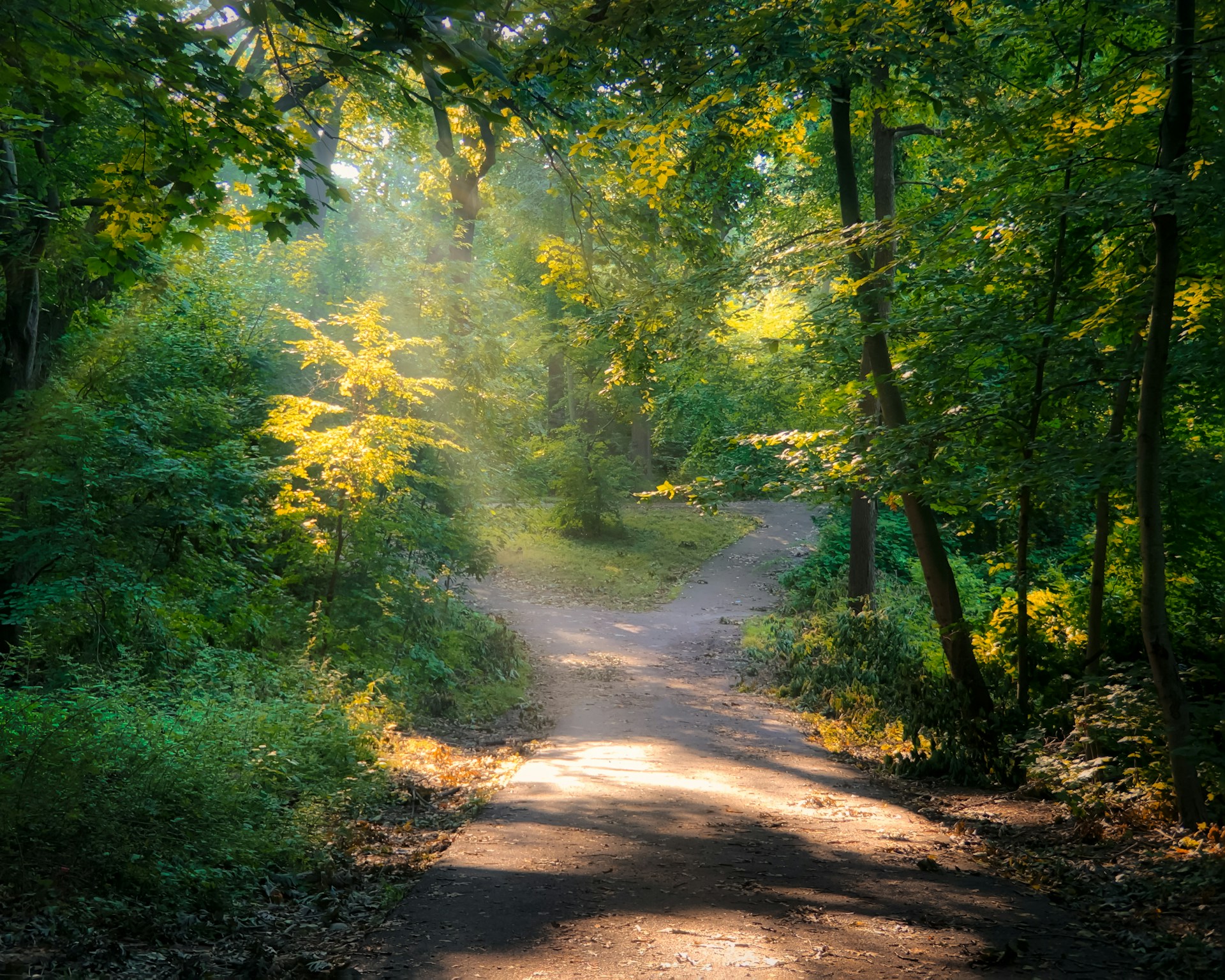 Behavioral Addictions: When the Reward System Takes Over