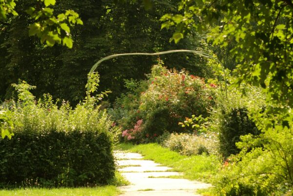 How The Garden Coordinates a Safe Detox and Inpatient Start