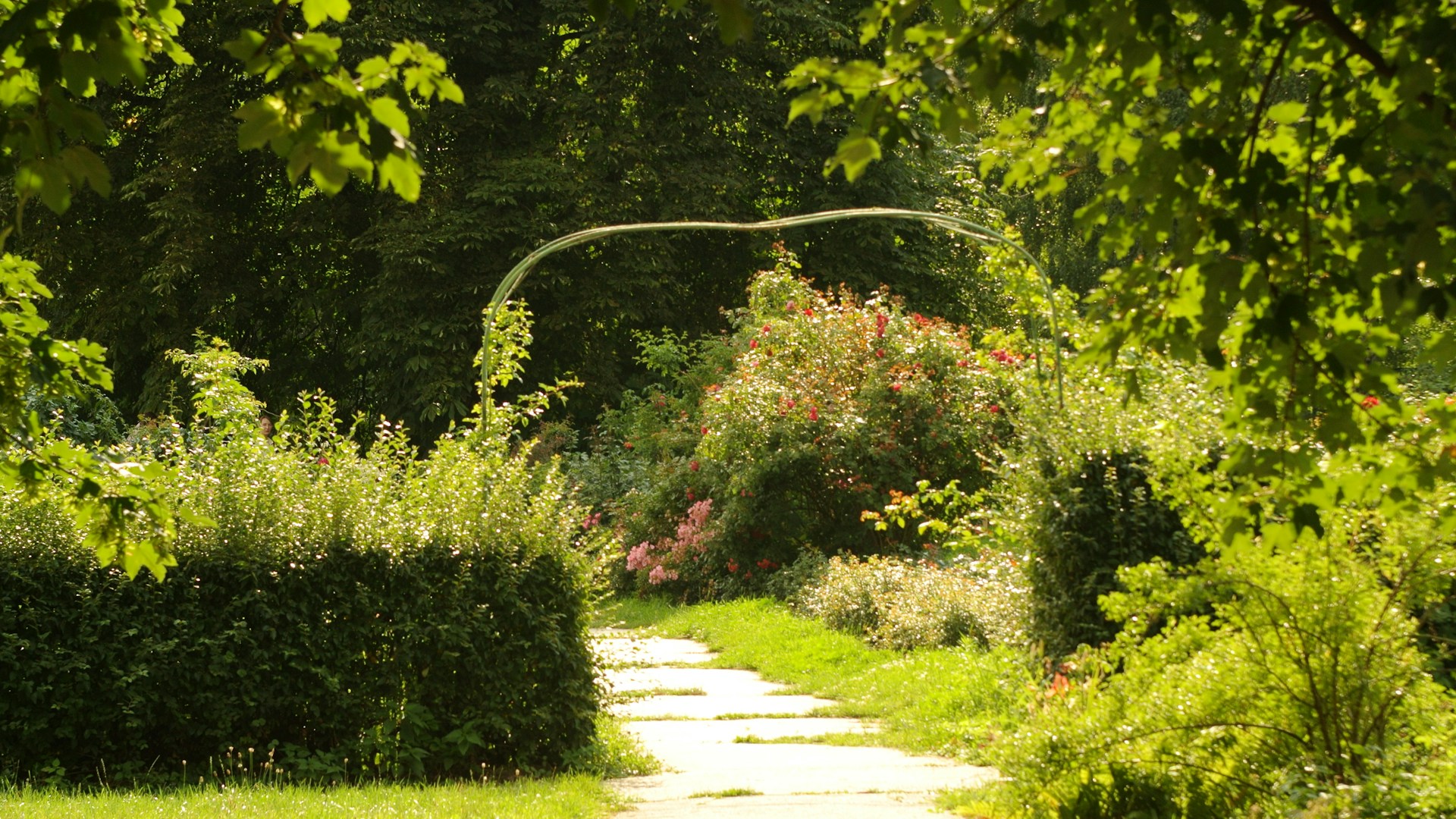 How The Garden Coordinates a Safe Detox and Inpatient Start